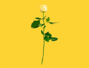 They Were Yellow Roses - Single available to stream!